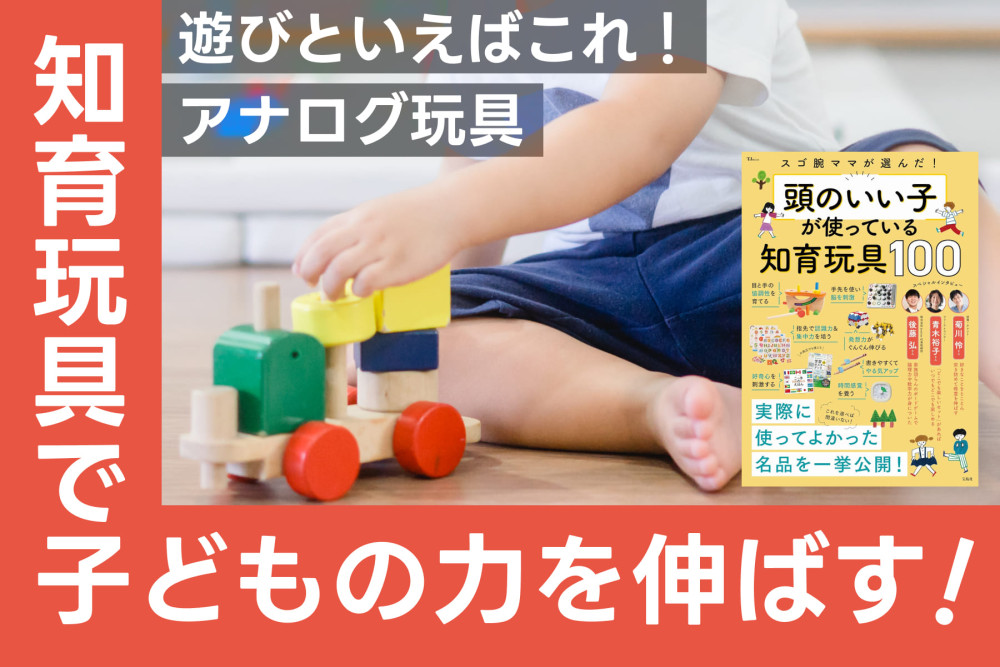 知育玩具で子どもの力を伸ばす！遊びといえばこれ！ アナログ玩具のサムネイル