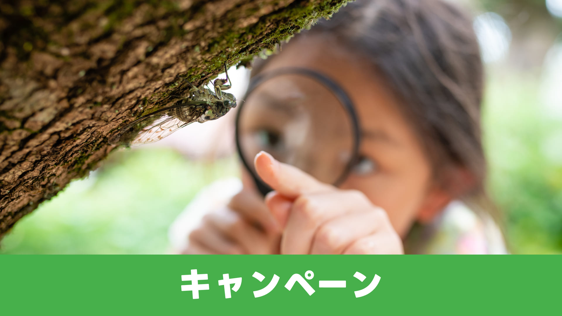 夏休みで起きた珍事件を教えて！のサムネイル