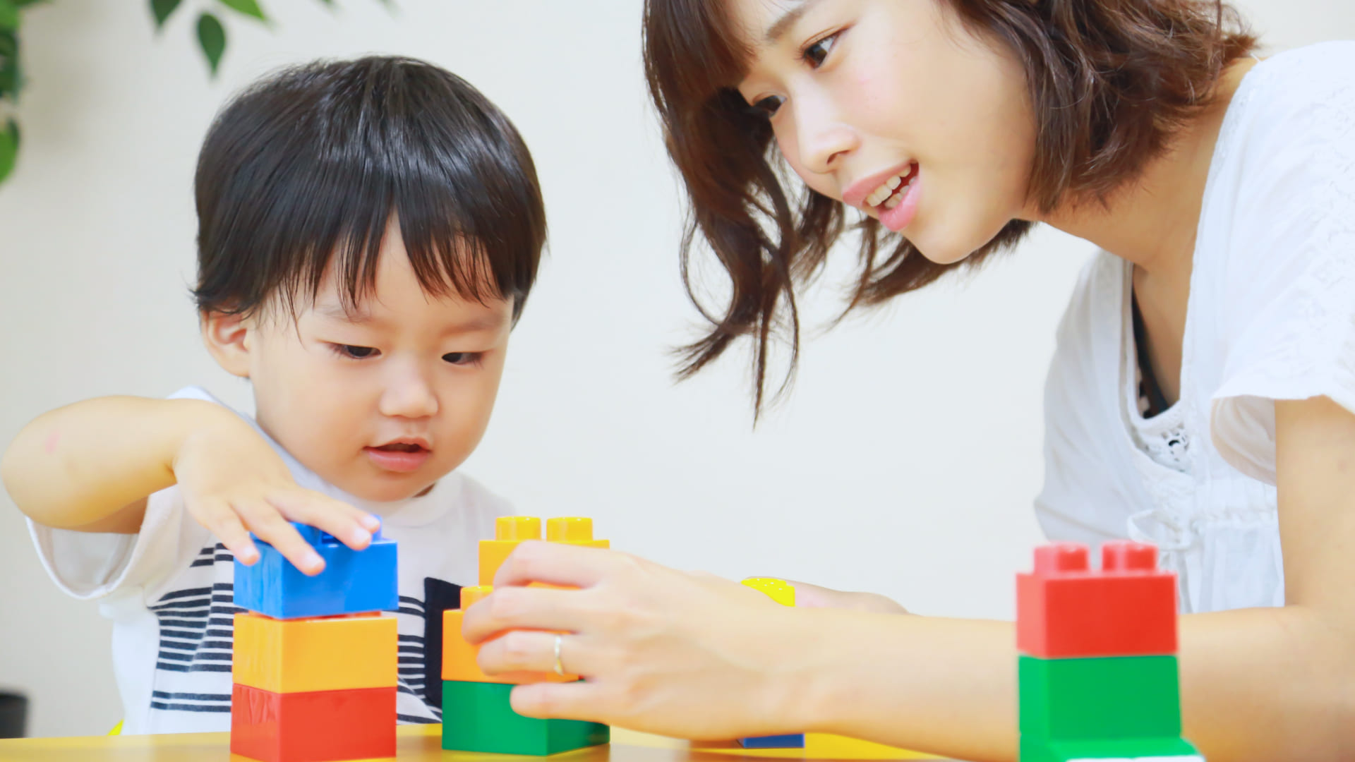 【アンケート】知育玩具にどの程度の効果を期待していますか？のサムネイル