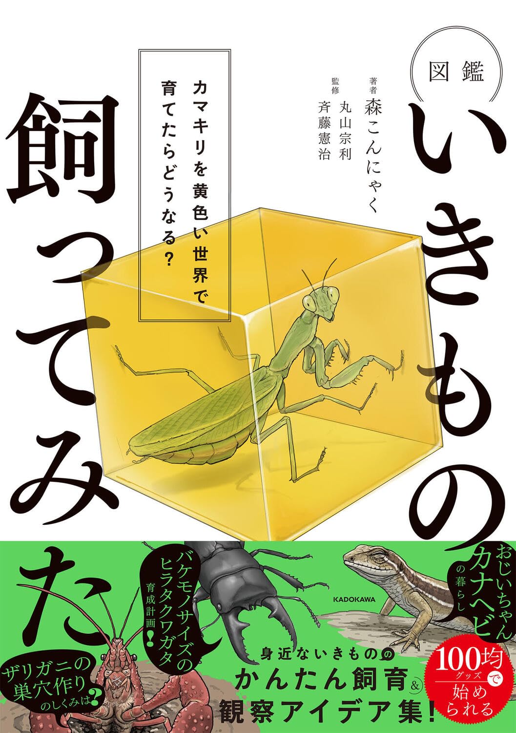 図鑑いきもの飼ってみた カマキリを黄色い世界で育てたらどうなる？のサムネイル
