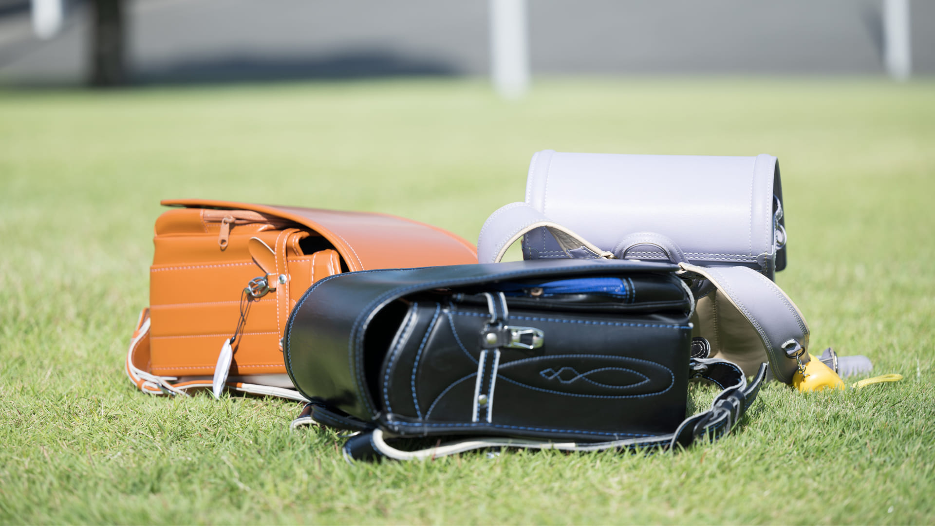 【アンケート】ランドセルを選ぶときに重視するポイントは？のサムネイル