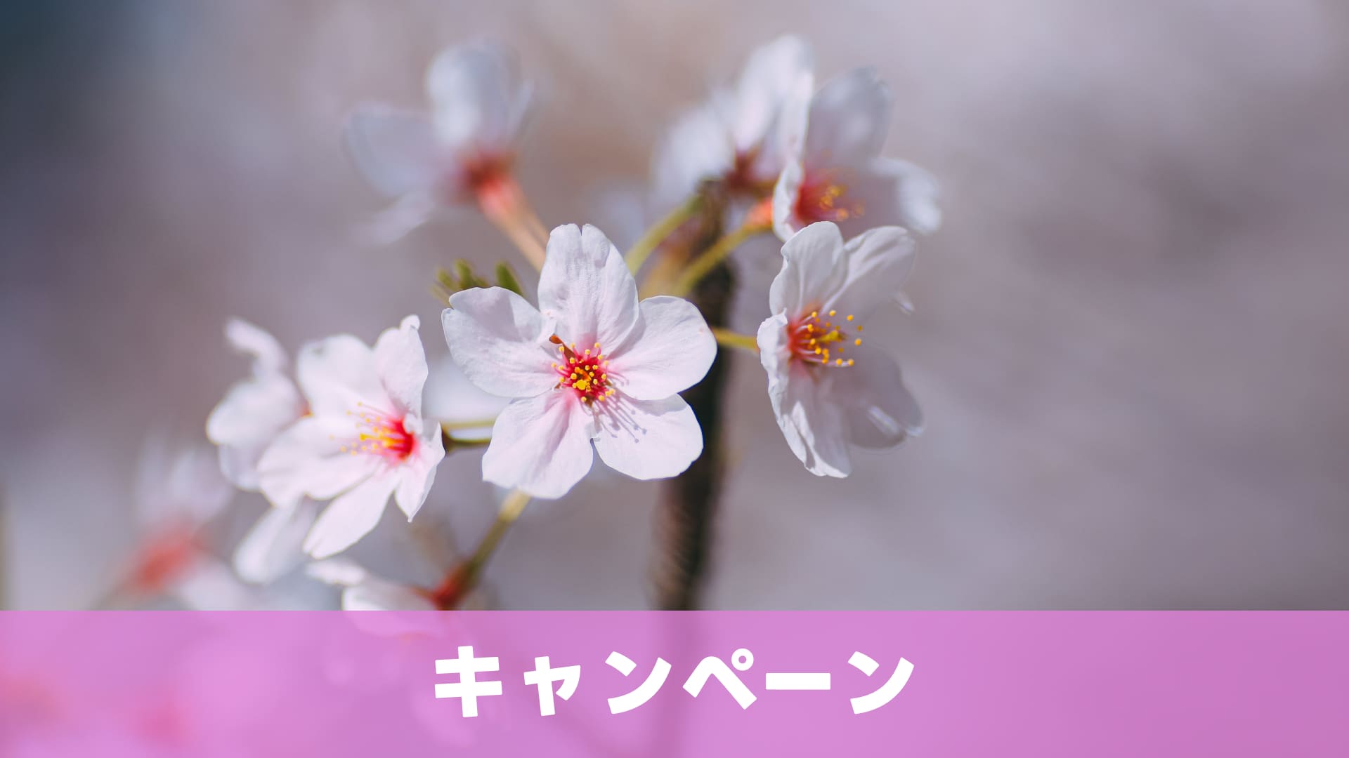 【アンケート】4月新生活ストレスある？のサムネイル